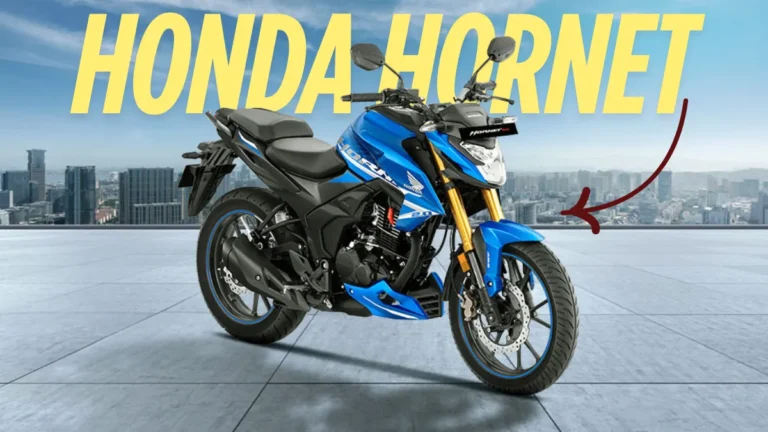 Honda Hornet